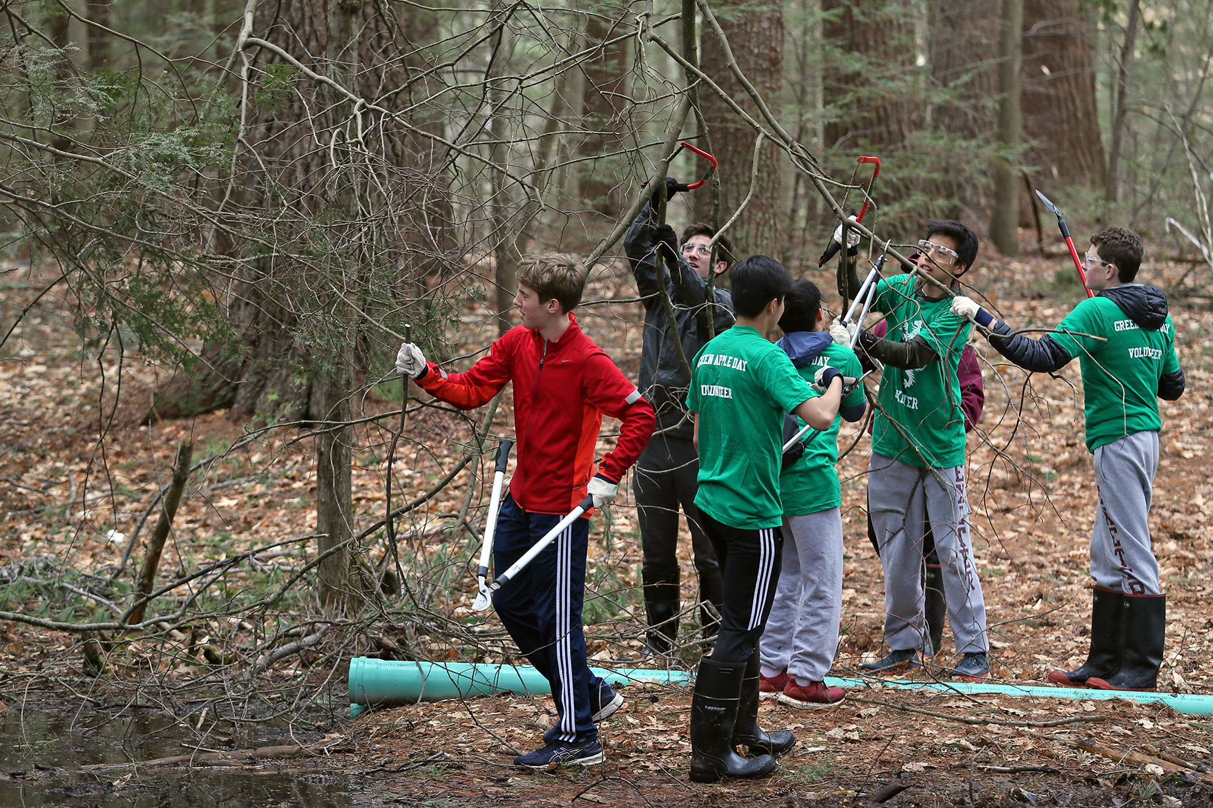 Exeter students cut dead branches off trees in the woodlands.