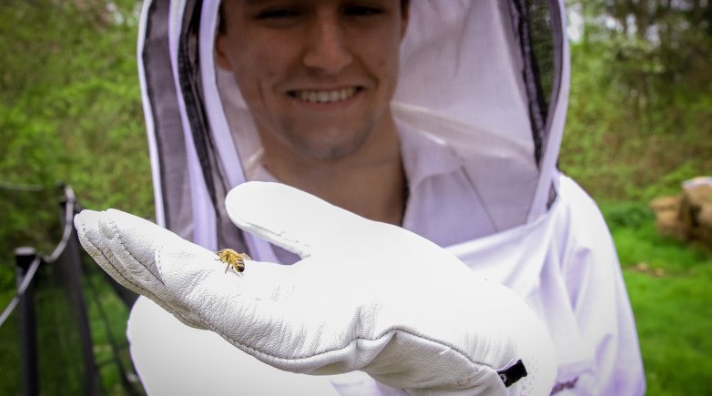 Boy in bee suit holds a honey bee.