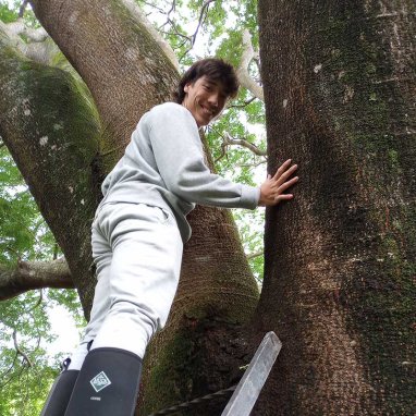 Smiling student standing on a ladder next to a tree