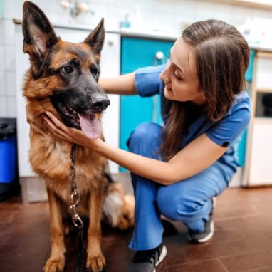 A woman in medical scrubs and a dog.
