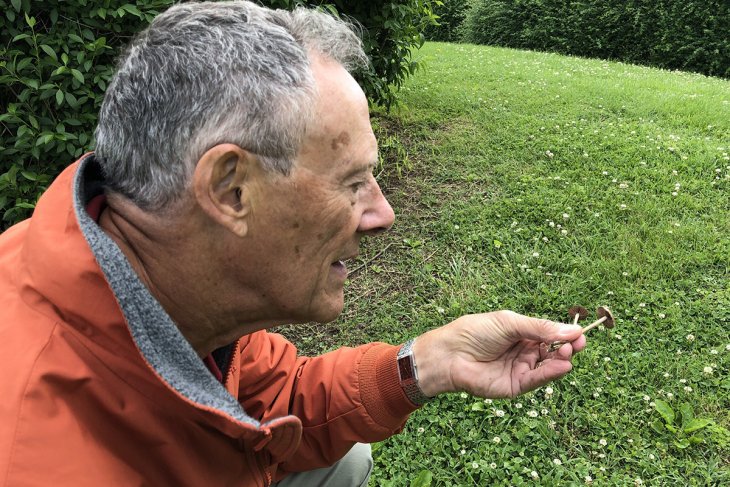 Maynard wheeler examines a mushroom